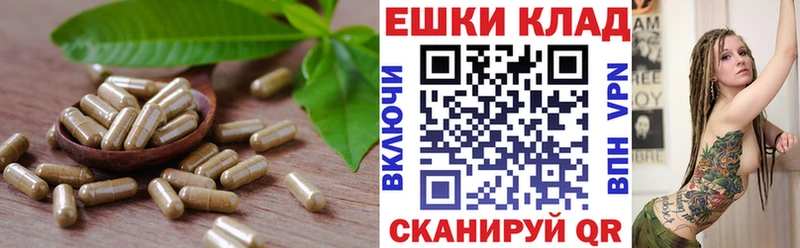 blacksprut ссылки  Кизел  Ecstasy 280 MDMA 