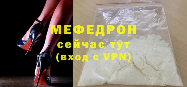 шишки Няндома