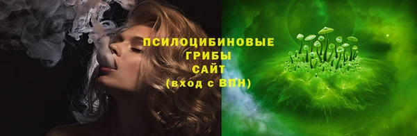 ГАЛЛЮЦИНОГЕННЫЕ ГРИБЫ Остров