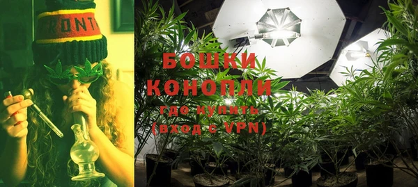 ГАЛЛЮЦИНОГЕННЫЕ ГРИБЫ Остров