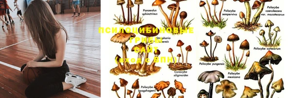 a pvp Пестово