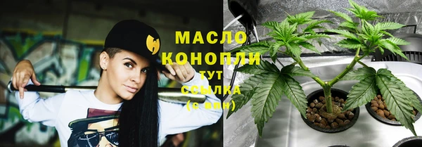 прущий лед Пересвет