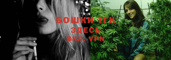 дурь Переславль-Залесский