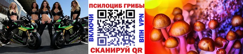 Галлюциногенные грибы Psilocybine cubensis Кизел