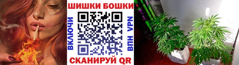 дарк нет как зайти  Кизел  Каннабис план  где купить наркотик 